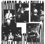 Voodoo Glow Skulls : Who Is, This Is? (Album)