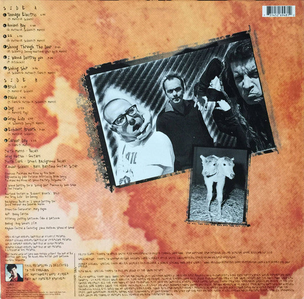 Circle Jerks : Oddities, Abnormalities And Curiosities (LP,Album)