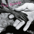 Dead Kennedys – Plastic Surgery Disasters (LP)