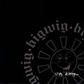 Bigwig : Stay Asleep (Album)