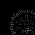 Bigwig : Stay Asleep (Album)