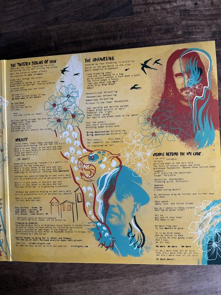 Birdlegs (2) : Visions Beyond The Ape Cave (LP)