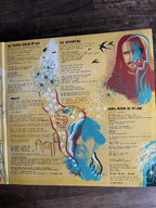 Birdlegs (2) : Visions Beyond The Ape Cave (LP)
