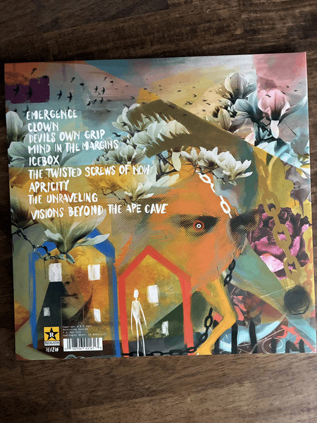 Birdlegs (2) : Visions Beyond The Ape Cave (LP)