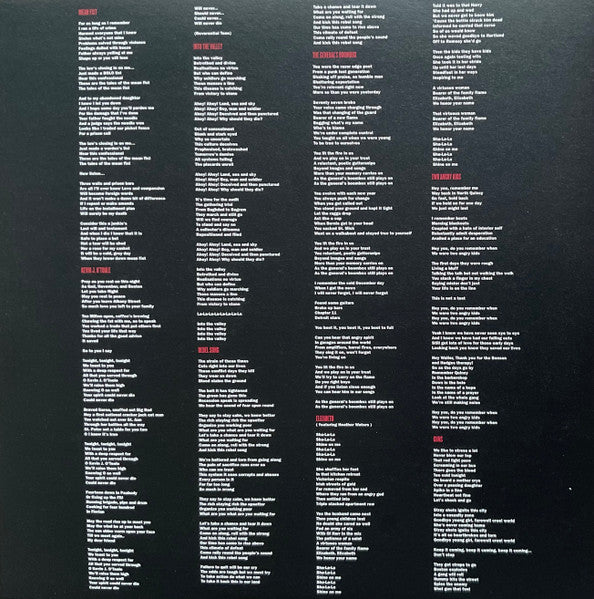 Street Dogs : State Of Grace (LP,Album,Limited Edition,Reissue)