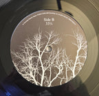 AFI : Decemberunderground (LP,Album,Reissue,Stereo)