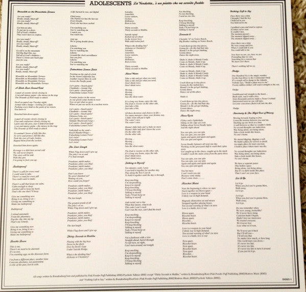 Adolescents : La Vendetta... (LP,Album)