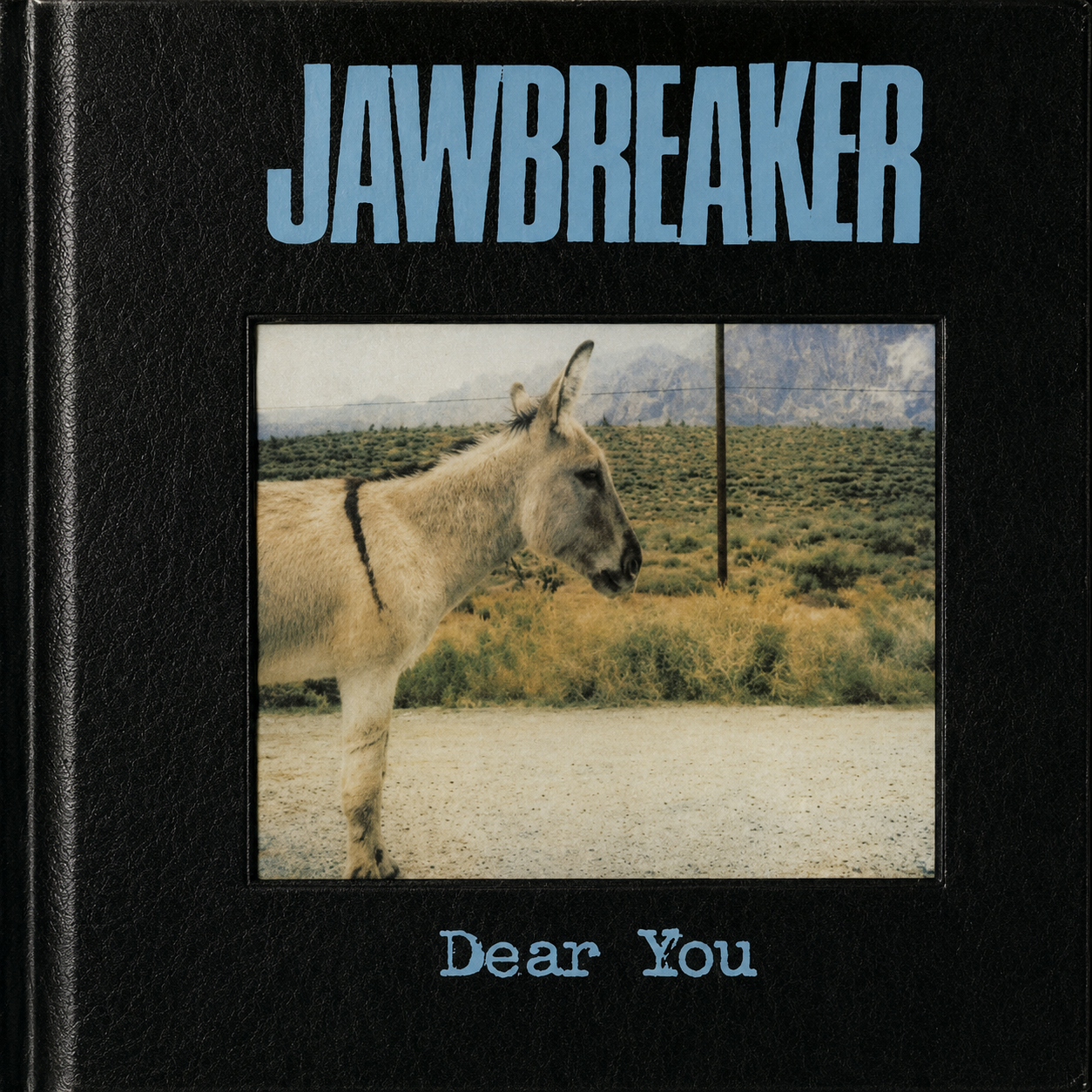 Jawbreaker – Dear You (LP)