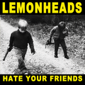 The Lemonheads - Hate Your Friends (LP)
