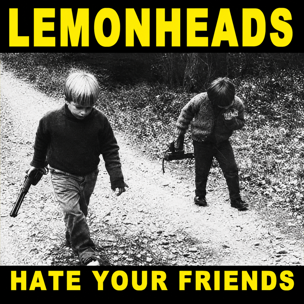 The Lemonheads - Hate Your Friends (LP)